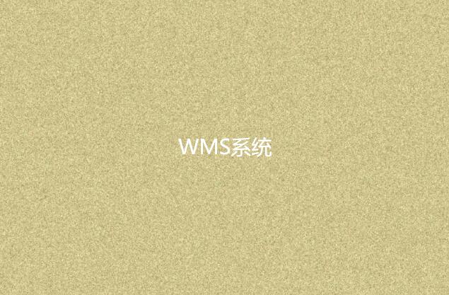 WMS系统适合小型企业吗？